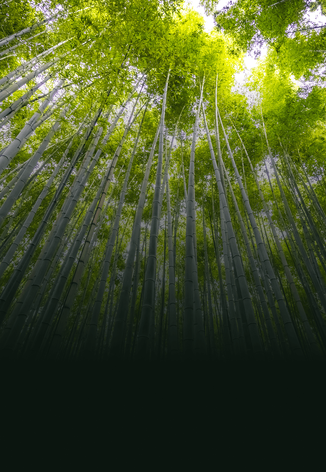 Innovation That Respects the Planet