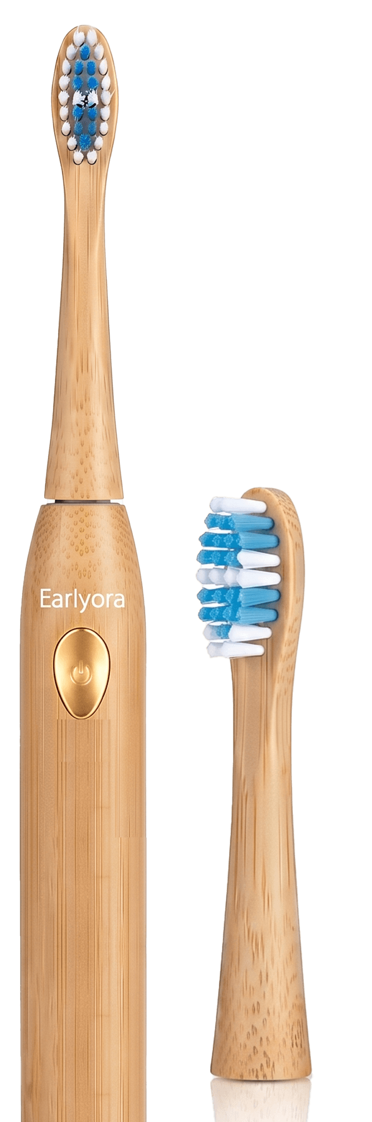 EarlyOra Toothbrushes