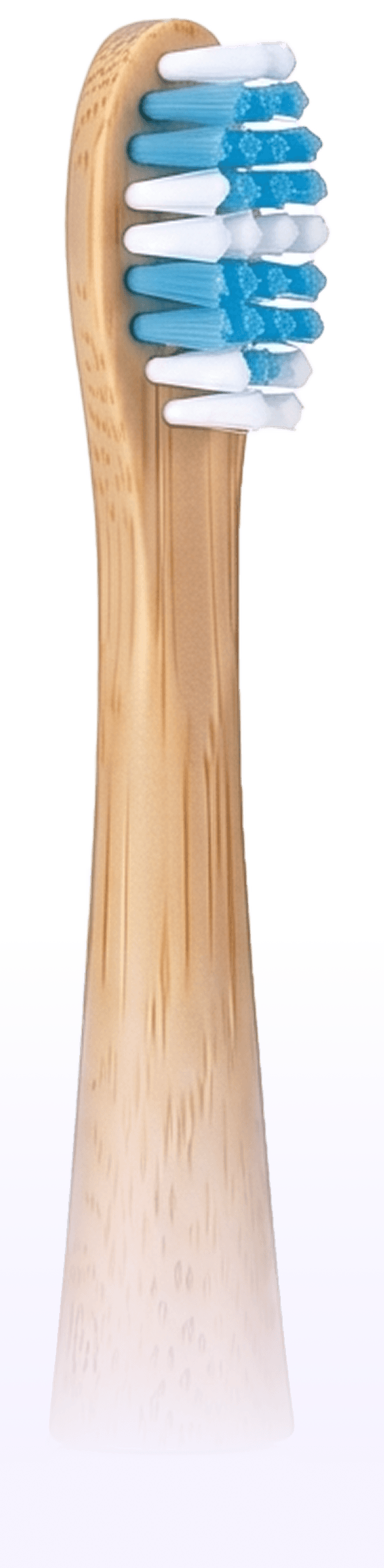 EarlyOra Smart Toothbrush